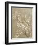 White Cherry Blossom II Neutral Crop Bird-Danhui Nai-Framed Art Print