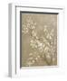 White Cherry Blossom II Neutral Crop Bird-Danhui Nai-Framed Art Print