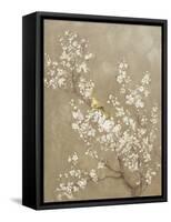 White Cherry Blossom II Neutral Crop Bird-Danhui Nai-Framed Stretched Canvas