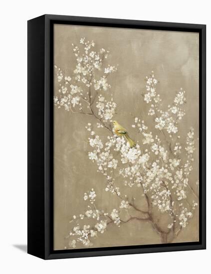White Cherry Blossom II Neutral Crop Bird-Danhui Nai-Framed Stretched Canvas