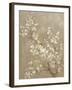 White Cherry Blossom II Neutral Crop Bird-Danhui Nai-Framed Art Print