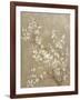 White Cherry Blossom II Neutral Crop Bird-Danhui Nai-Framed Art Print