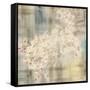 White Cherry Blossom IV-li bo-Framed Stretched Canvas