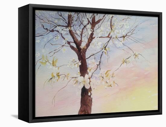 White Cherry Blossom-Mary Smith-Framed Stretched Canvas