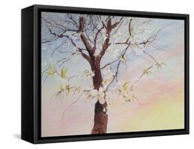 White Cherry Blossom-Mary Smith-Framed Stretched Canvas