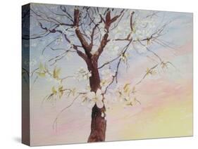 White Cherry Blossom-Mary Smith-Stretched Canvas