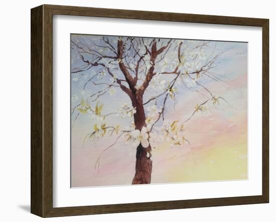 White Cherry Blossom-Mary Smith-Framed Giclee Print