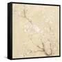White Cherry Blossoms I Linen Crop-Danhui Nai-Framed Stretched Canvas