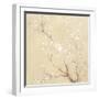 White Cherry Blossoms I Linen Crop-Danhui Nai-Framed Art Print