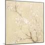 White Cherry Blossoms I Linen Crop-Danhui Nai-Mounted Art Print