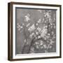 White Cherry Blossoms I on Grey Crop-Danhui Nai-Framed Art Print