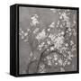 White Cherry Blossoms I on Grey Crop-Danhui Nai-Framed Stretched Canvas