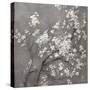 White Cherry Blossoms I on Grey Crop-Danhui Nai-Stretched Canvas