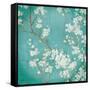 White Cherry Blossoms II on Blue Aged No Bird-Danhui Nai-Framed Stretched Canvas