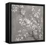 White Cherry Blossoms II on Grey Crop-Danhui Nai-Framed Stretched Canvas