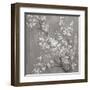 White Cherry Blossoms II on Grey Crop-Danhui Nai-Framed Art Print