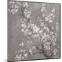 White Cherry Blossoms II on Grey Crop-Danhui Nai-Mounted Art Print