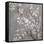 White Cherry Blossoms II on Grey Crop-Danhui Nai-Framed Stretched Canvas