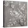 White Cherry Blossoms II on Grey Crop-Danhui Nai-Stretched Canvas