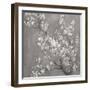 White Cherry Blossoms II on Grey Crop-Danhui Nai-Framed Art Print