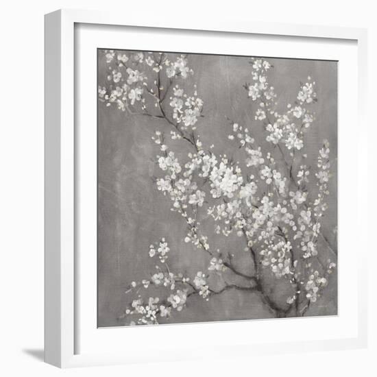 White Cherry Blossoms II on Grey Crop-Danhui Nai-Framed Art Print