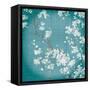 White Cherry Blossoms II on Teal Aged no Bird-Danhui Nai-Framed Stretched Canvas