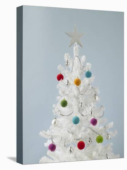 White Christmas Tree-Patrick Norman-Stretched Canvas