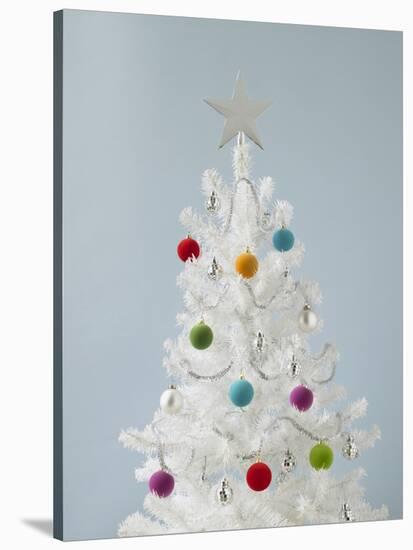 White Christmas Tree-Patrick Norman-Stretched Canvas