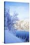 White Christmas-Kimberly Glover-Stretched Canvas