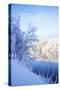 White Christmas-Kimberly Glover-Stretched Canvas