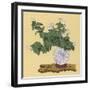 White Chrysanthemum an Autumn Arrangement-Koun Ohara-Framed Art Print