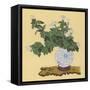 White Chrysanthemum an Autumn Arrangement-Koun Ohara-Framed Stretched Canvas