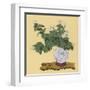 White Chrysanthemum an Autumn Arrangement-Koun Ohara-Framed Art Print