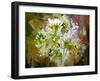 White Chrysanthemum Flowers,Abstract Digital Painting-Tithi Luadthong-Framed Art Print