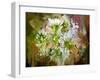 White Chrysanthemum Flowers,Abstract Digital Painting-Tithi Luadthong-Framed Art Print
