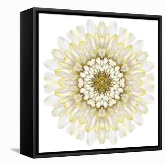 White Chrysathemum Mandala Flower Kaleidoscopic-tr3gi-Framed Stretched Canvas