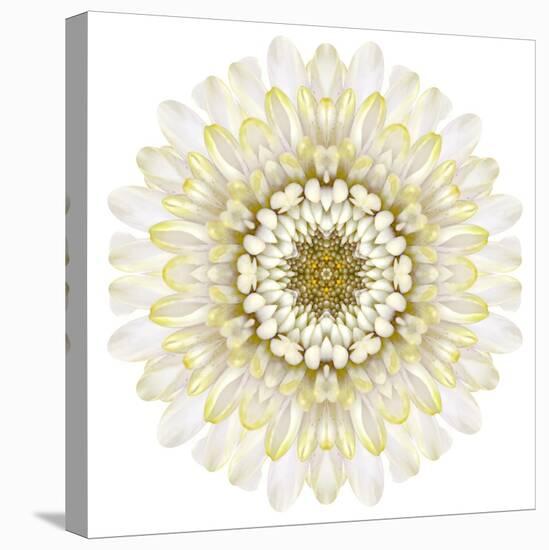 White Chrysathemum Mandala Flower Kaleidoscopic-tr3gi-Stretched Canvas