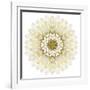 White Chrysathemum Mandala Flower Kaleidoscopic-tr3gi-Framed Art Print