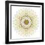 White Chrysathemum Mandala Flower Kaleidoscopic-tr3gi-Framed Art Print