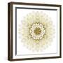 White Chrysathemum Mandala Flower Kaleidoscopic-tr3gi-Framed Art Print