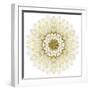 White Chrysathemum Mandala Flower Kaleidoscopic-tr3gi-Framed Art Print