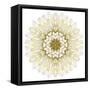 White Chrysathemum Mandala Flower Kaleidoscopic-tr3gi-Framed Stretched Canvas