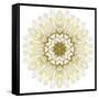 White Chrysathemum Mandala Flower Kaleidoscopic-tr3gi-Framed Stretched Canvas