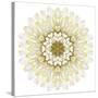 White Chrysathemum Mandala Flower Kaleidoscopic-tr3gi-Stretched Canvas