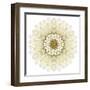 White Chrysathemum Mandala Flower Kaleidoscopic-tr3gi-Framed Art Print