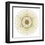 White Chrysathemum Mandala Flower Kaleidoscopic-tr3gi-Framed Art Print