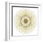 White Chrysathemum Mandala Flower Kaleidoscopic-tr3gi-Framed Art Print