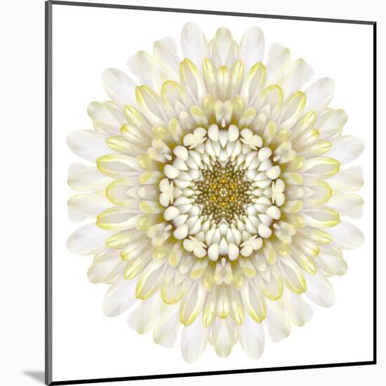 White Chrysathemum Mandala Flower Kaleidoscopic-tr3gi-Mounted Art Print