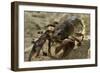 White Clawed Crayfish (Austropotamobius Pallipes) Underwater on Riverbed, River Leith, Cumbria, UK-Linda Pitkin-Framed Photographic Print