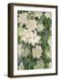 White Clematis, 1887-Claude Monet-Framed Premium Giclee Print